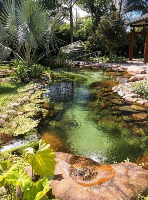 Creating a Serene Oasis: Essential
  Considerations for Pond Design