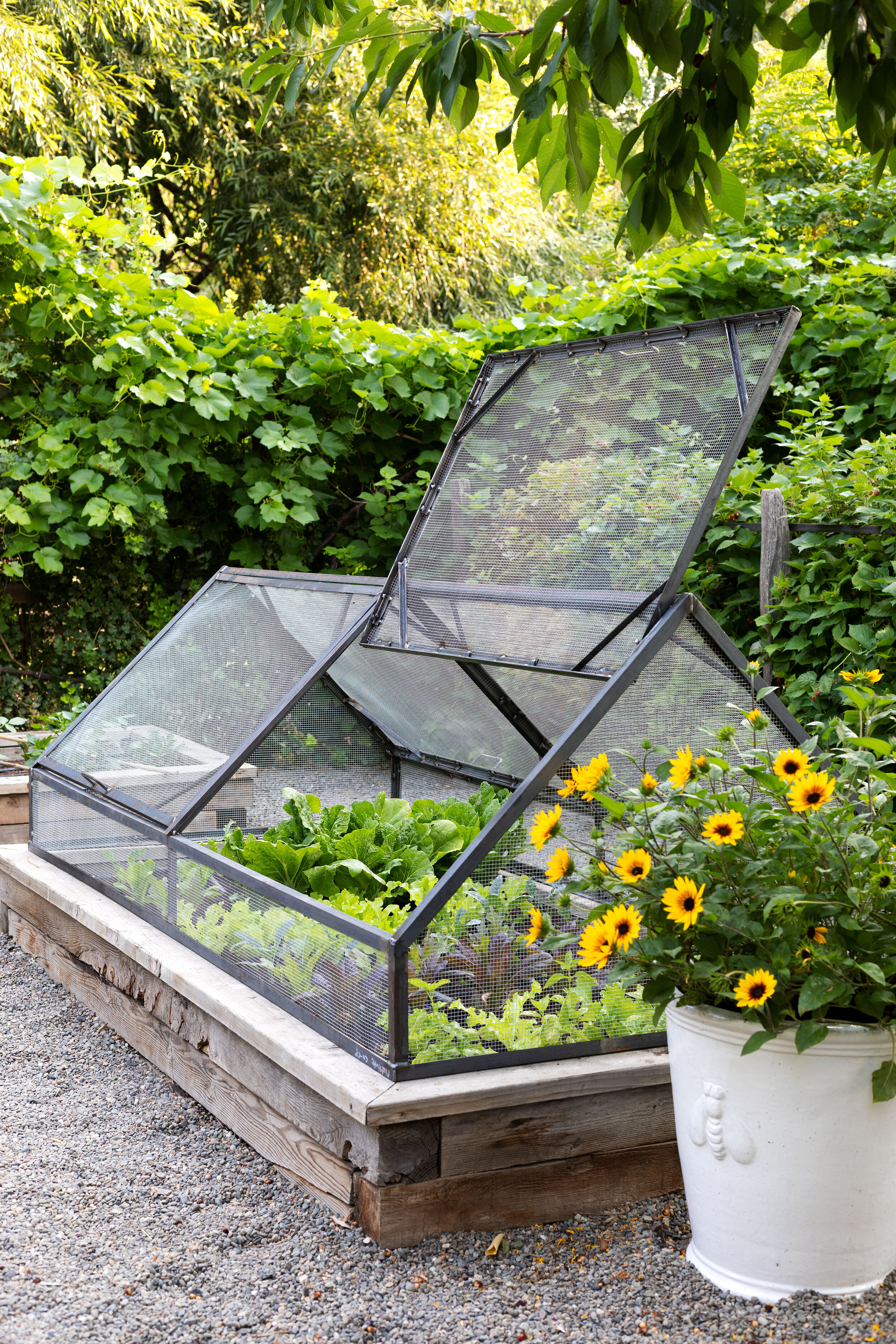 Maximizing Space: The Benefits of a
Raised Bed Garden