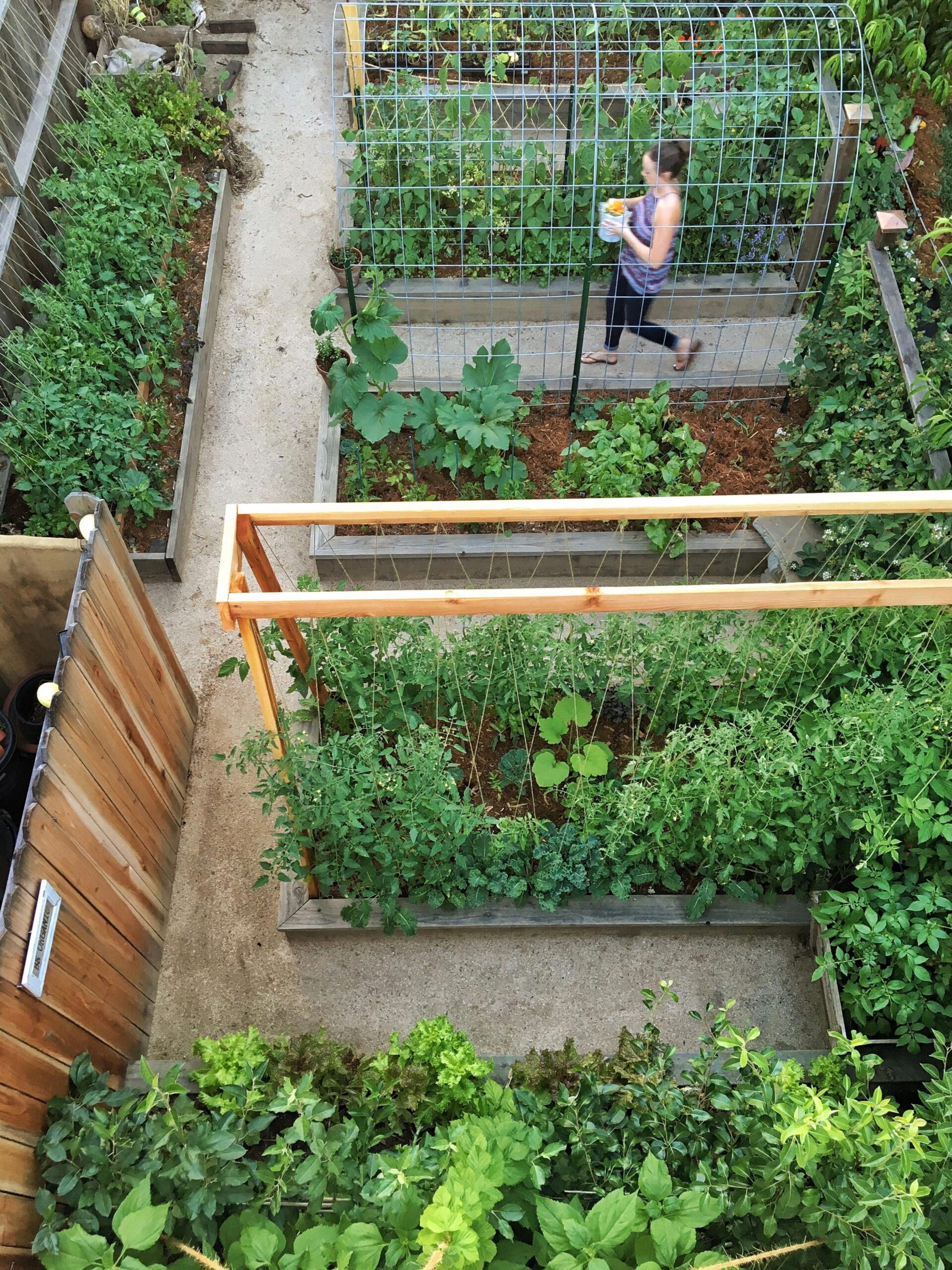 The Benefits of Raised Bed Gardening:
Maximizing Space for a Bountiful Harvest