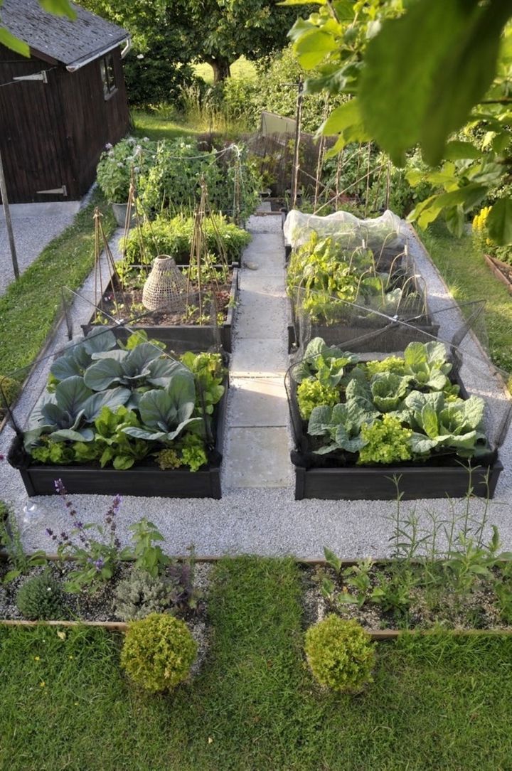 Creative Raised Garden Bed Designs for
  Your Backyard