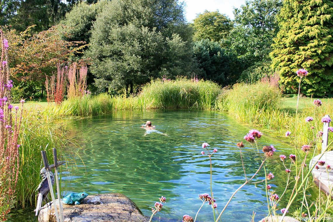 The Benefits of Adding a Pond to Your
Backyard Landscape