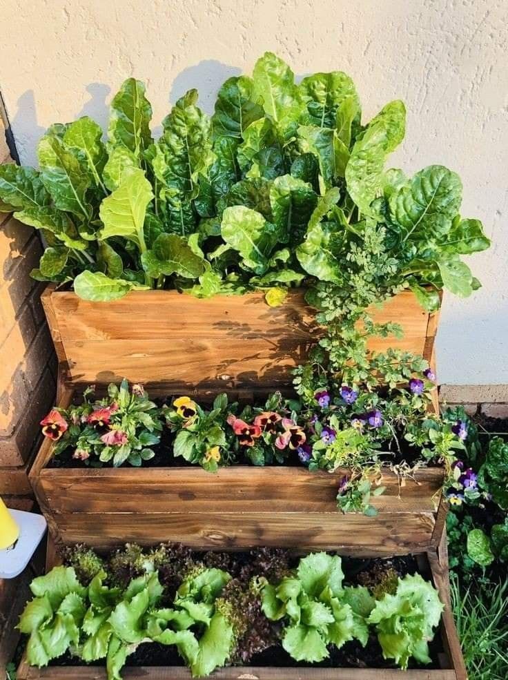 Transform Your Balcony into a Green Oasis
with These Garden Ideas