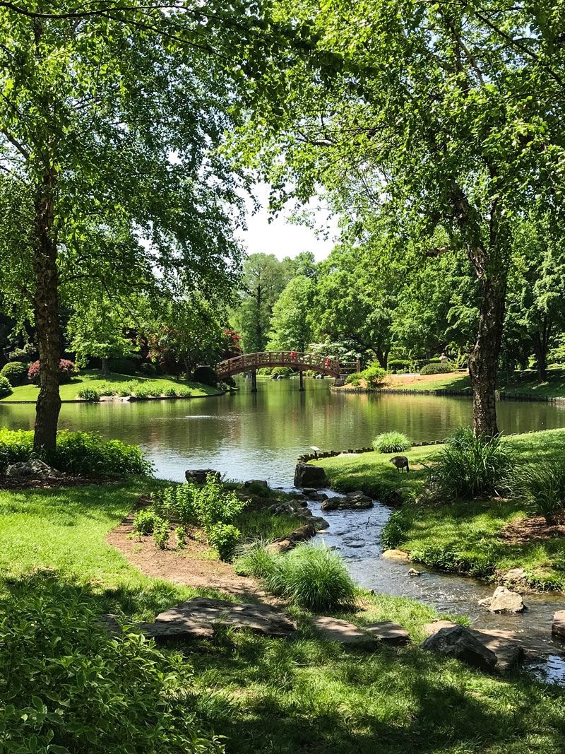 Discovering the Hidden Wonders of
Botanical Gardens