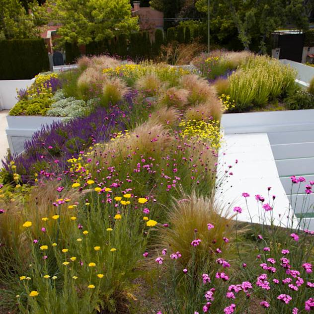 Revolutionizing Garden Design: Exploring
Contemporary Trends