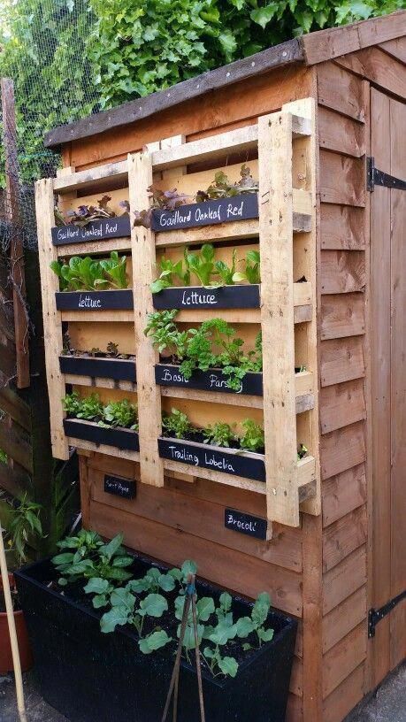 Creative DIY Garden Projects to Inspire
Your Outdoor Space