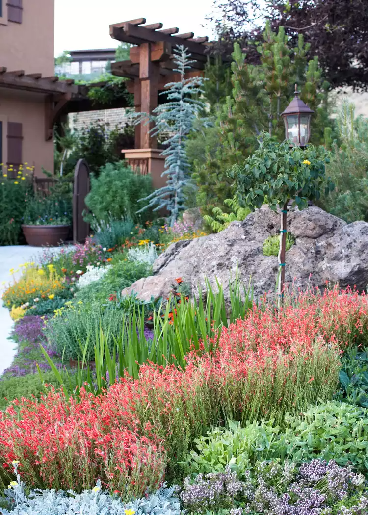 Tips for Creating a Drought-Resistant
  Landscape