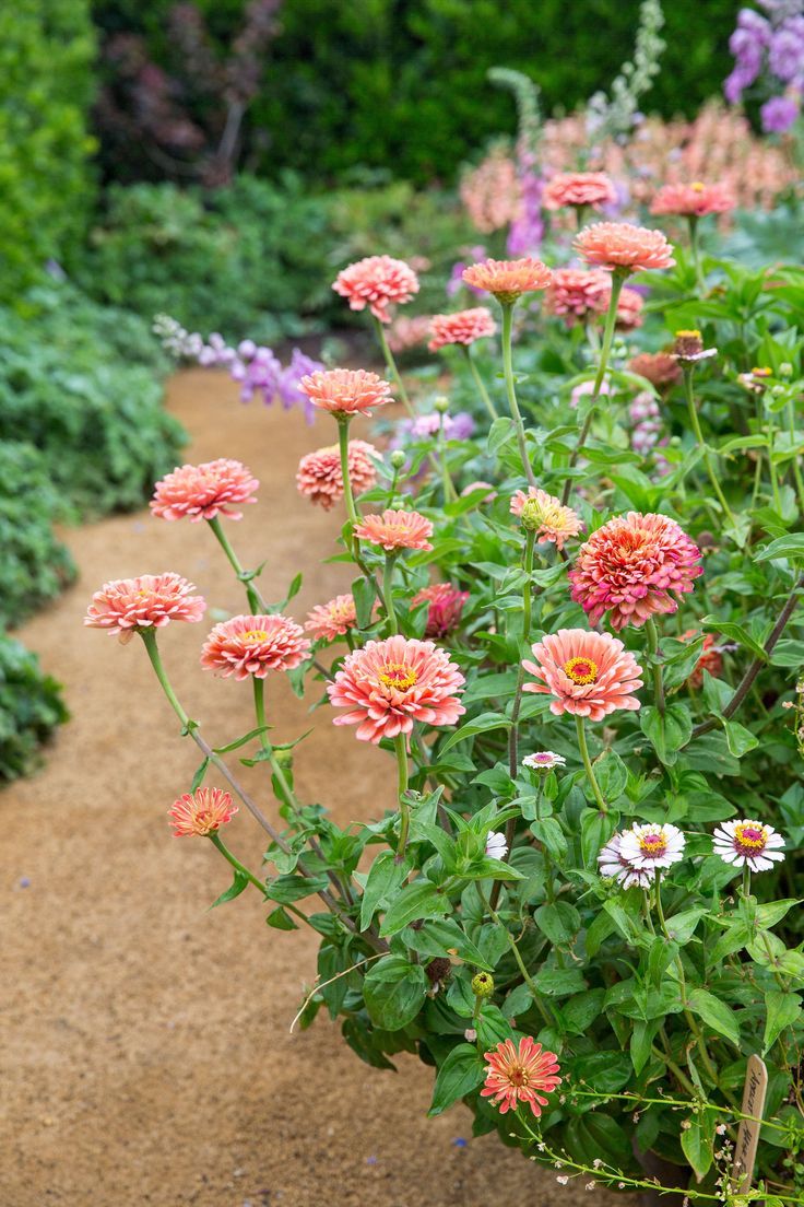 Top Flower Garden Ideas for a Stunning
  Landscape