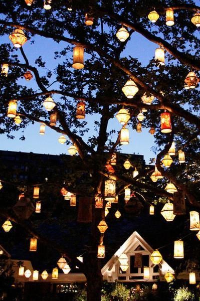 Illuminate Your Outdoor Space with
Stylish Garden Lanterns