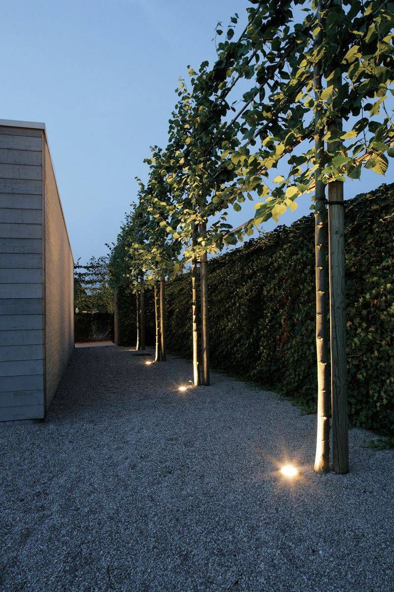 Illuminate Your Garden with Stylish
Lighting Options