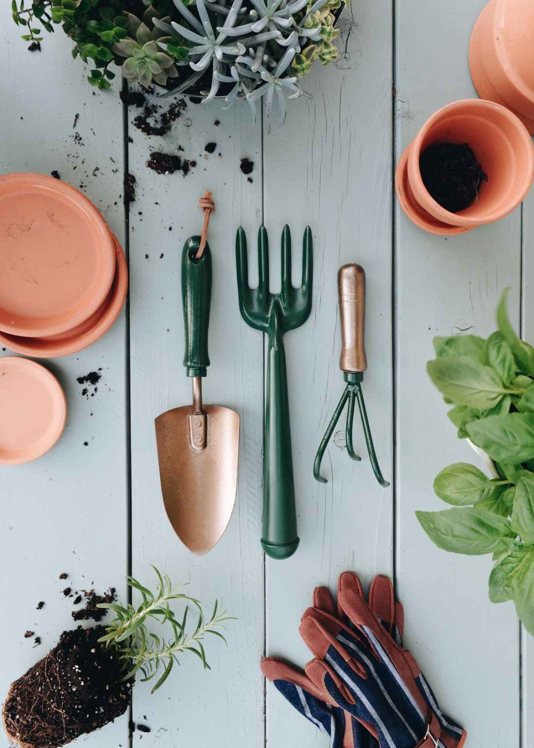 Clever Ways to Keep Your Garden Tools
  Organized