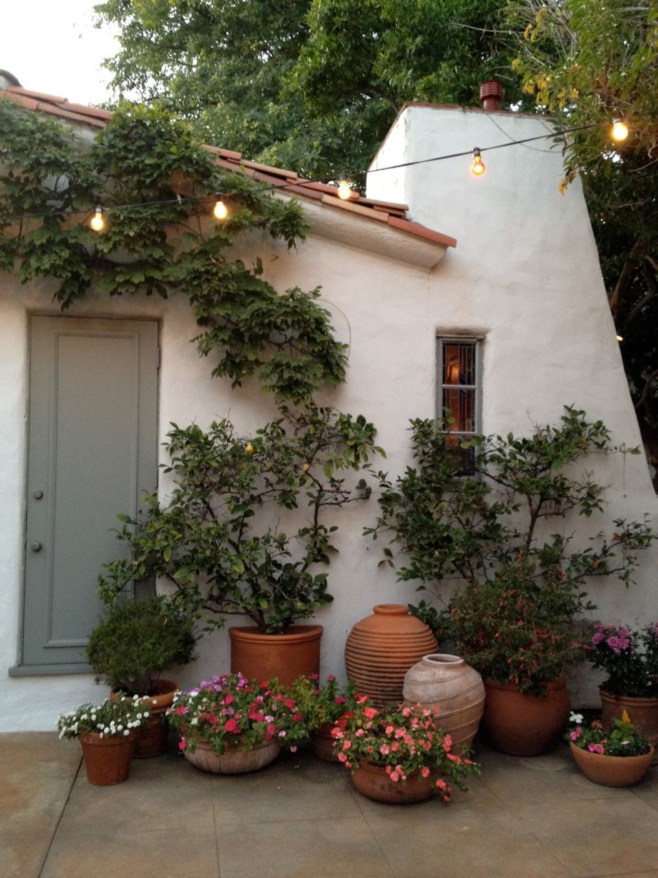 Beautiful Garden Wall Ideas to Transform
Your Outdoor Space