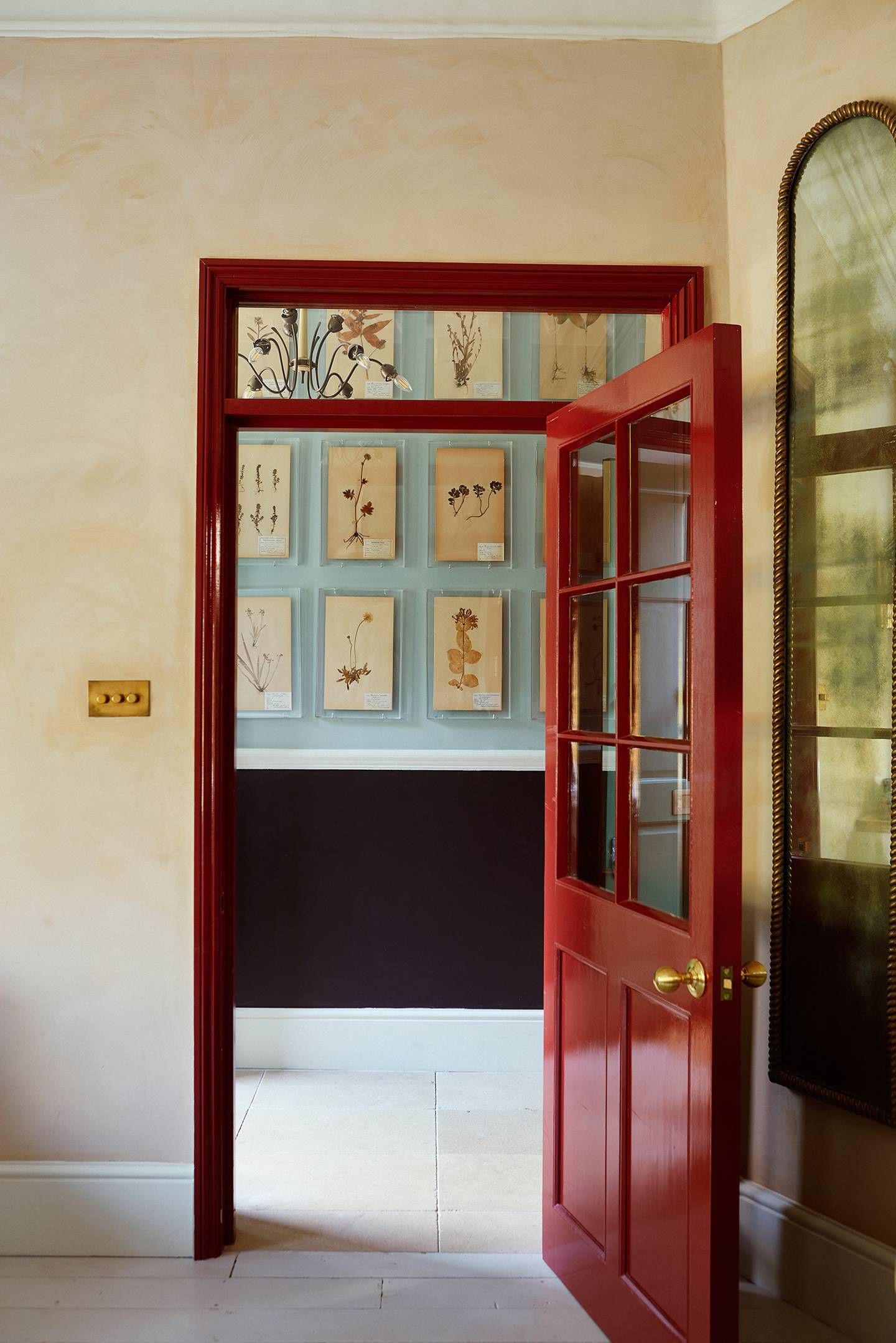 Expert Tips for Choosing the Perfect Home
  Door