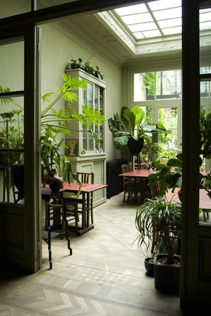 Creating Your Own Oasis: Tips for
Cultivating an Indoor Garden