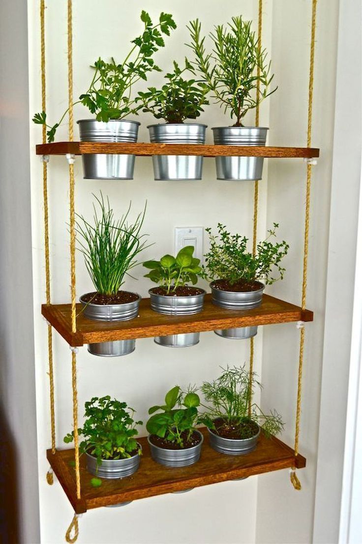 Create a Thriving Indoor Herb Garden in
  Simple Steps