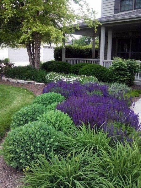 1714075378_landscaping-ideas-for-front-yard.png