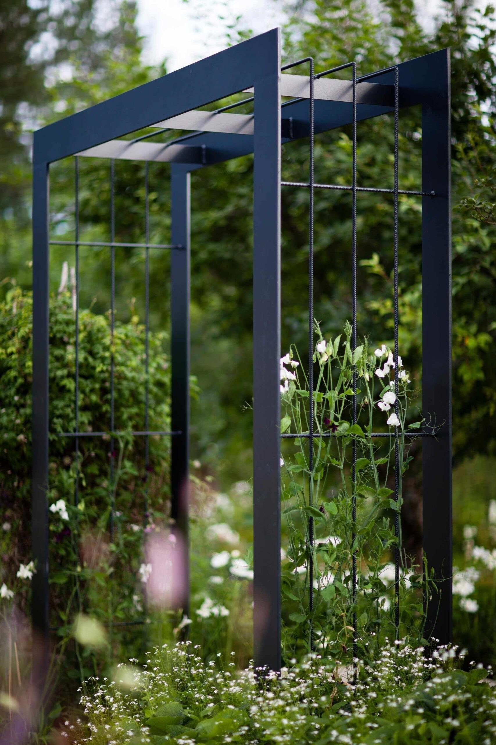 Elevate Your Garden with a Stunning Metal
  Arch