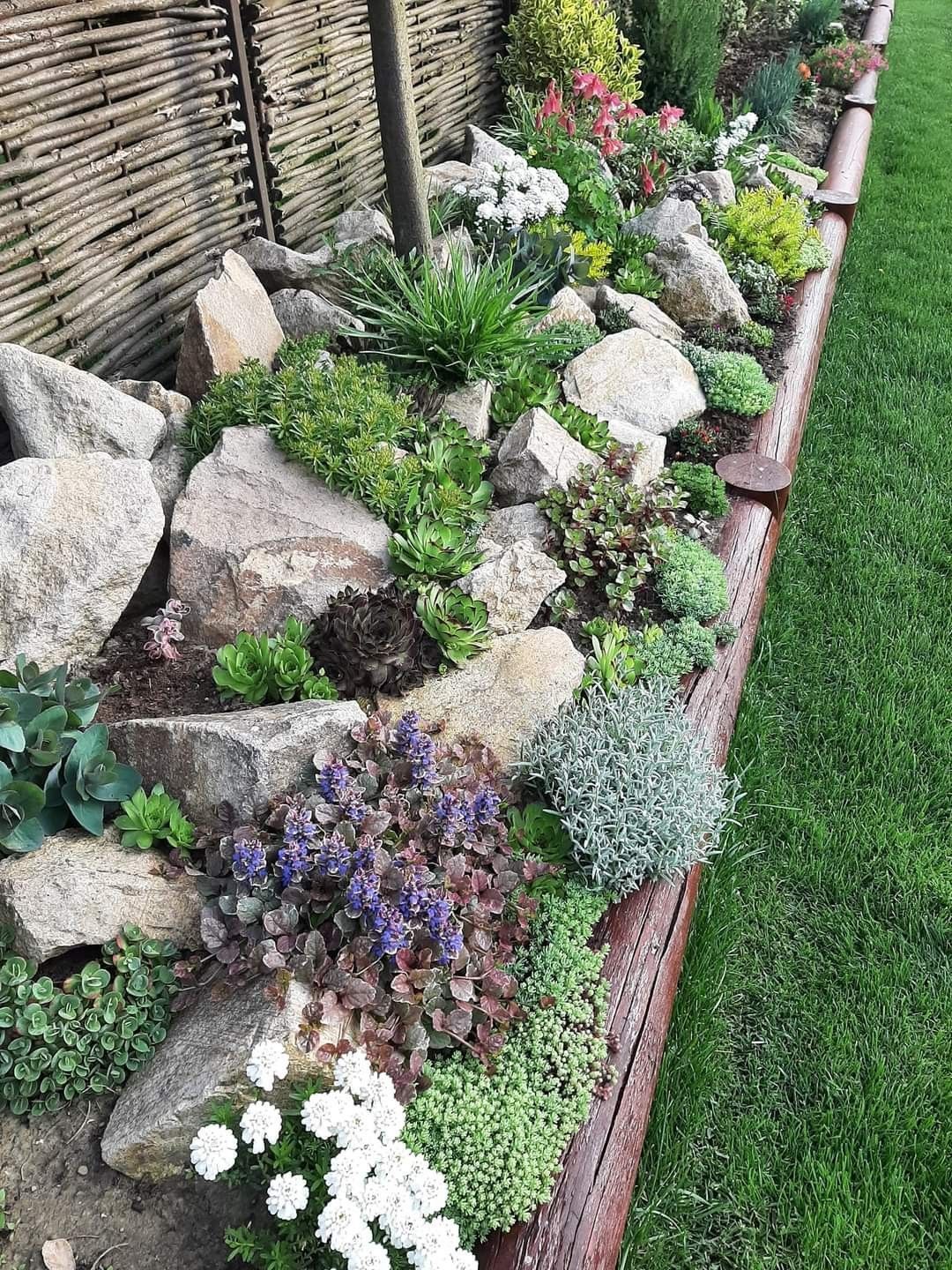 Stunning Rock Garden Designs to Transform
  Your Outdoor Space