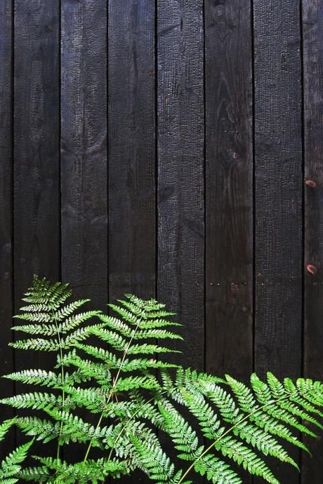 The Complete Guide to Choosing the Right
  Backyard Fence for Your Home