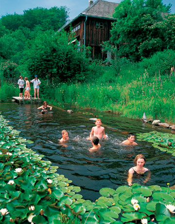 Creating the Perfect Paradise: A Guide to
Backyard Ponds