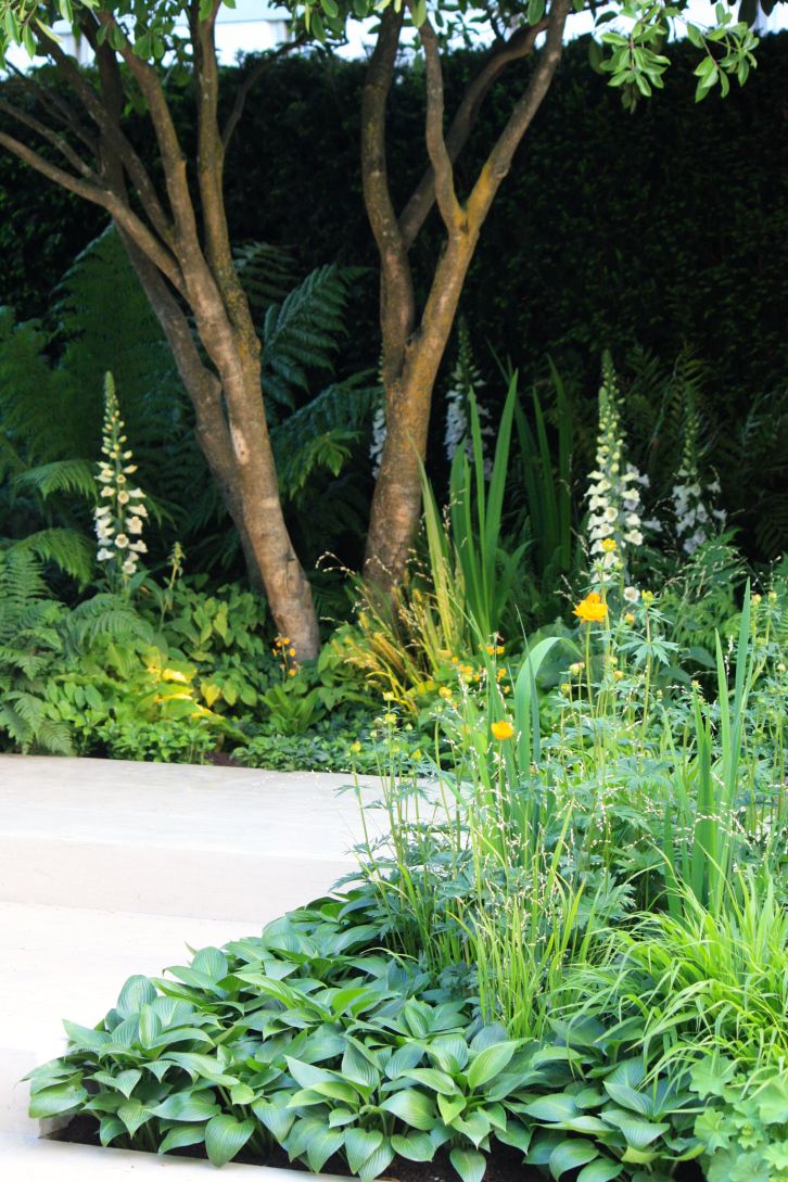 Contemporary Gardens: A Blend of Nature
and Innovation