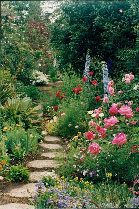 Essential Plants for a Cottage Garden