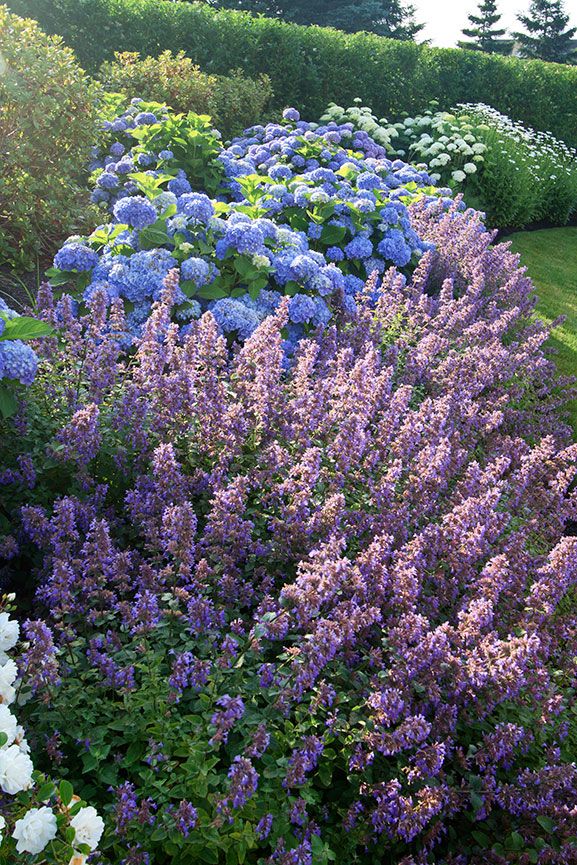 Stunning Flower Bed Designs to Transform
Your Garden