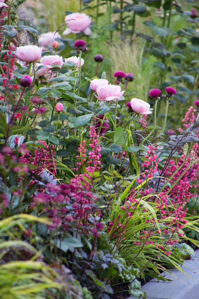 Stunning Flower Bed Ideas for Your Garden
