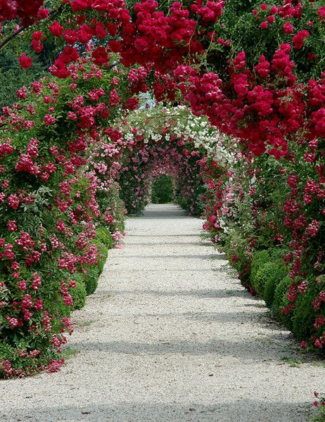 Enhance Your Outdoor Space with a
Beautiful Garden Arbor