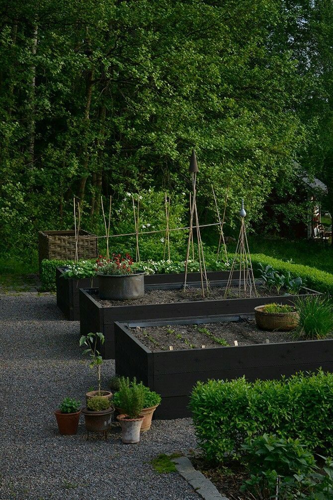 Tips for Creating a Successful Garden Bed