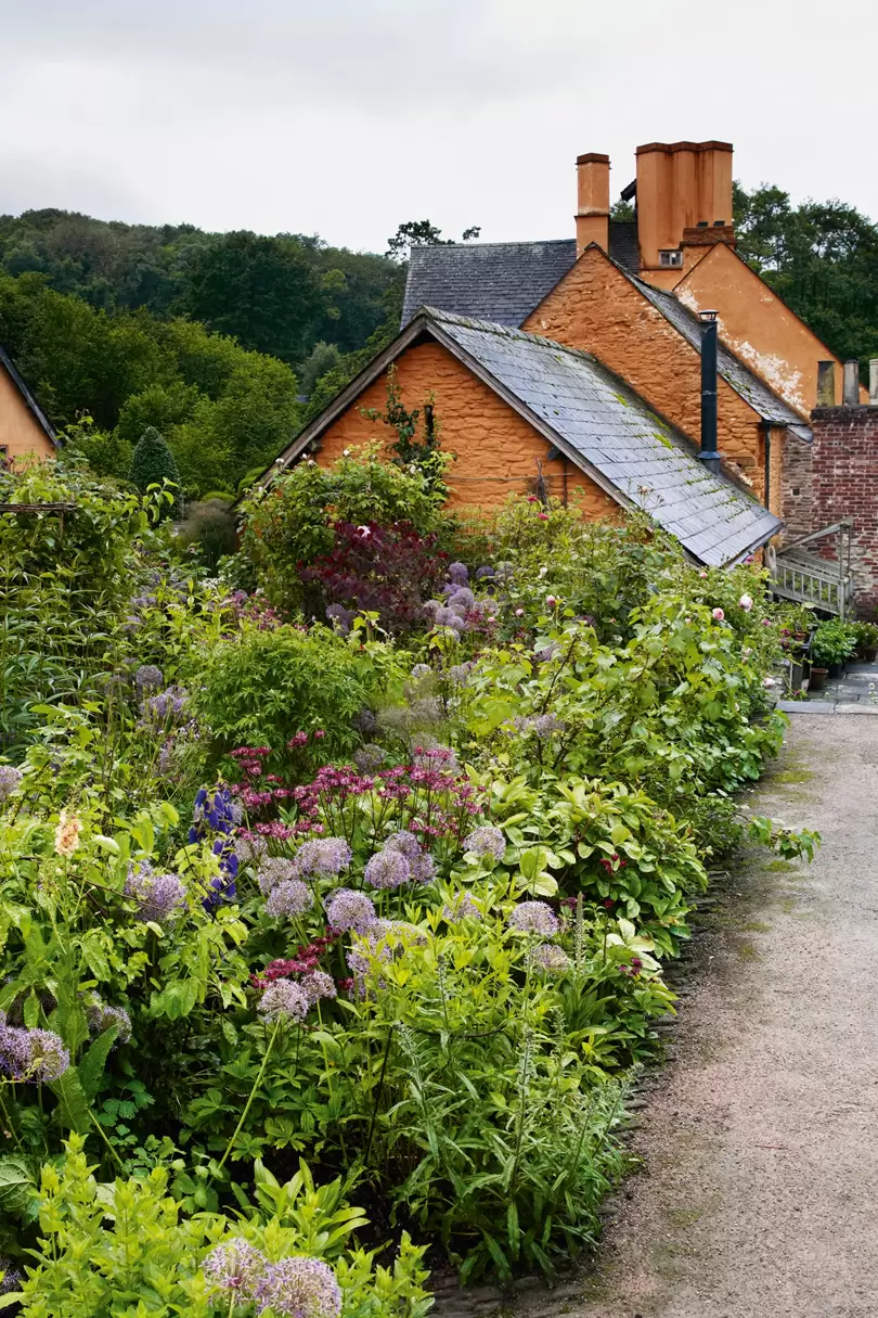 Creative Garden Border Ideas to Beautify
Your Outdoor Space