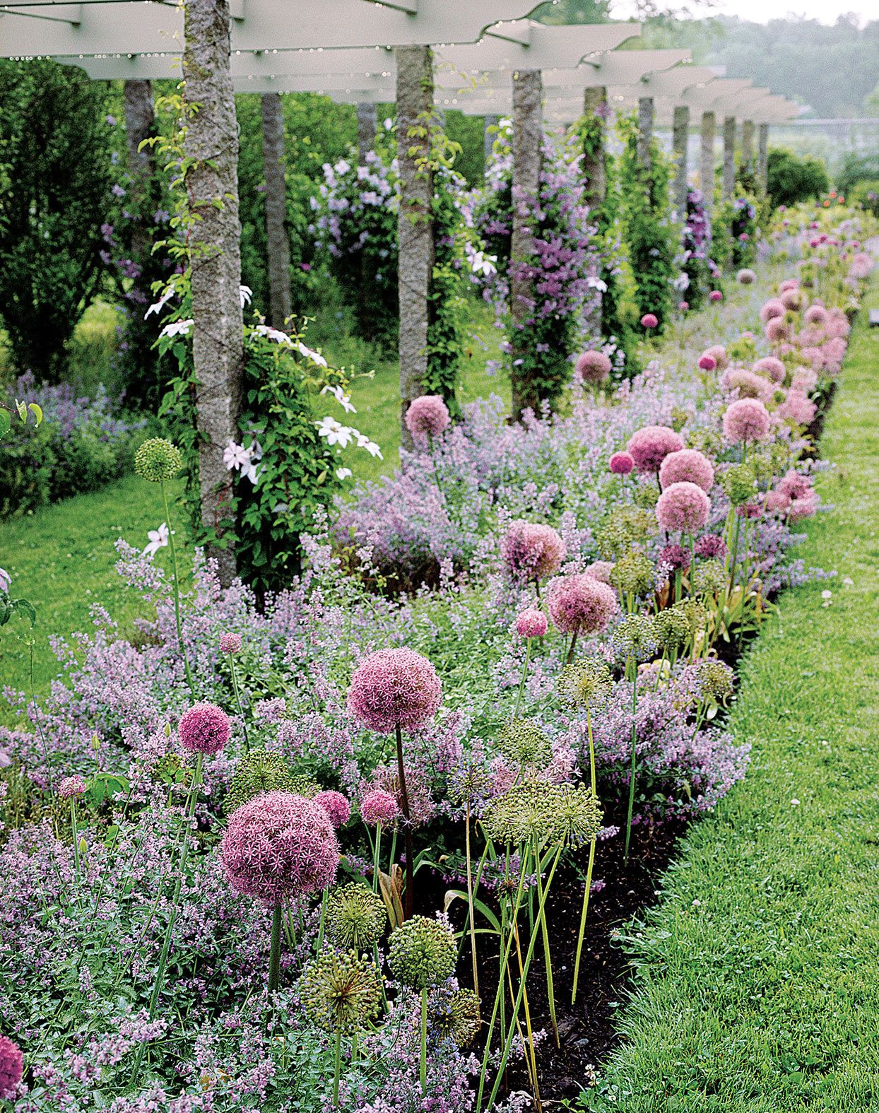 Creative Ideas for Stunning Garden
  Borders