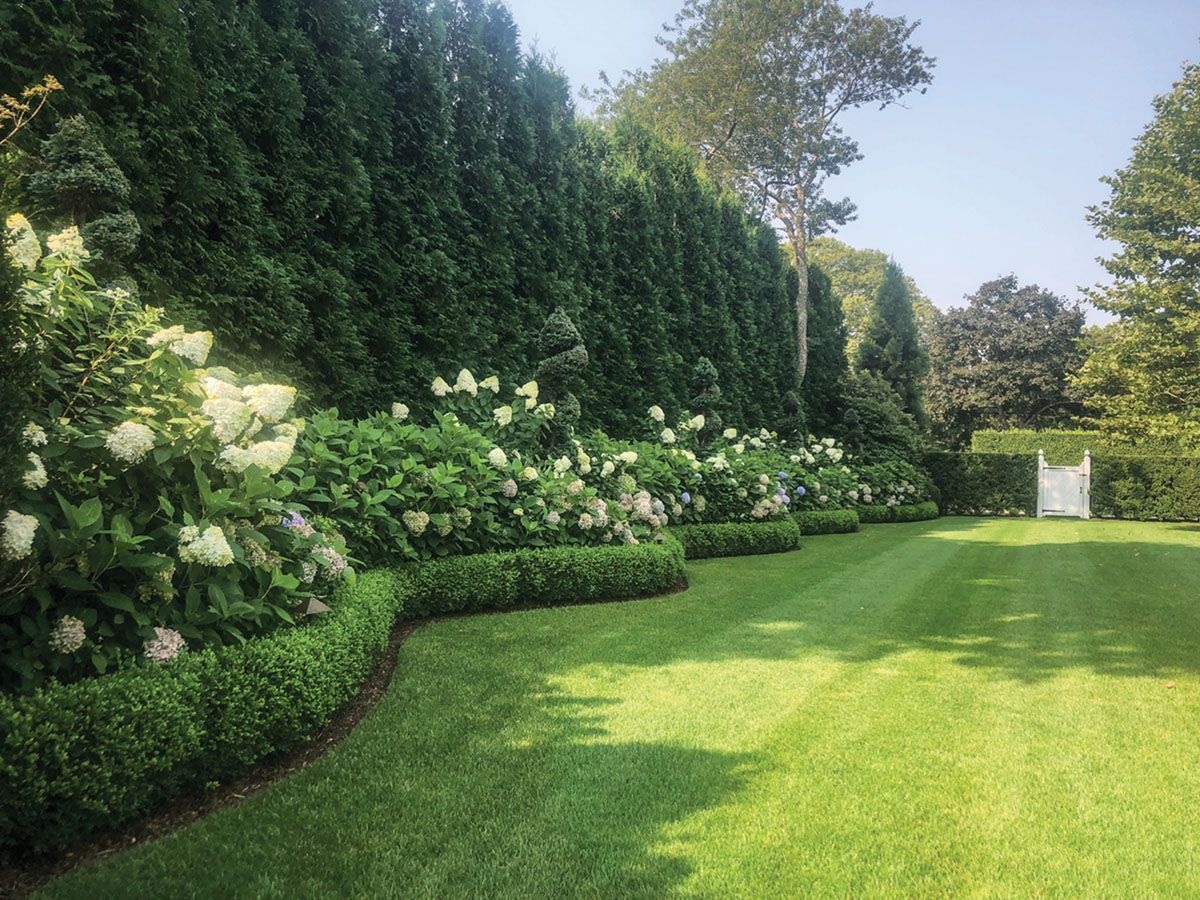 Creating Privacy and Beauty with Garden
Hedges
