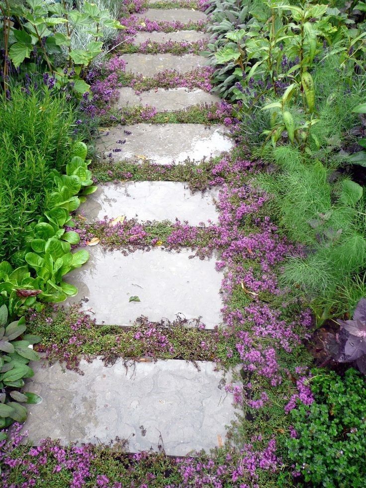 Create a Stunning Garden Path with These
Creative Ideas