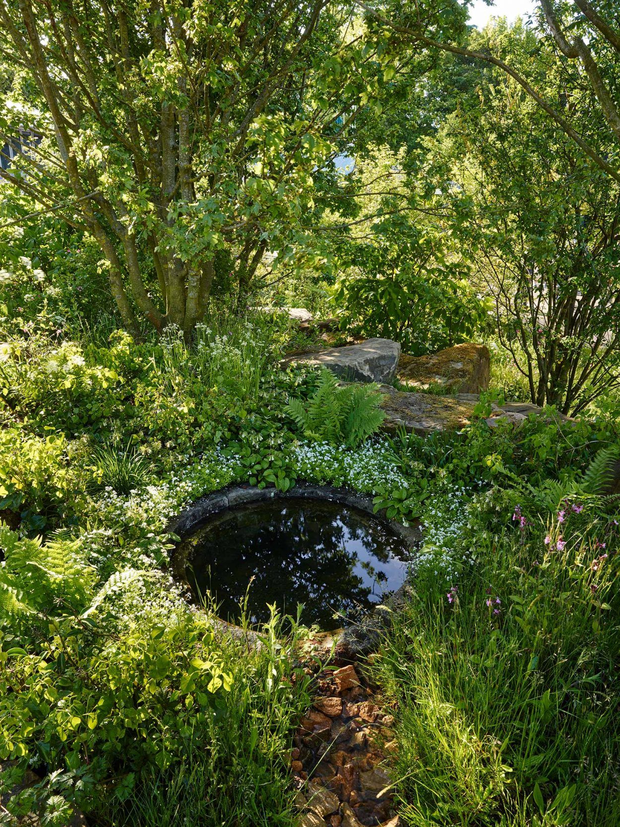 Creating a Tranquil Oasis: How to Design
and Maintain a Gorgeous Garden Pond