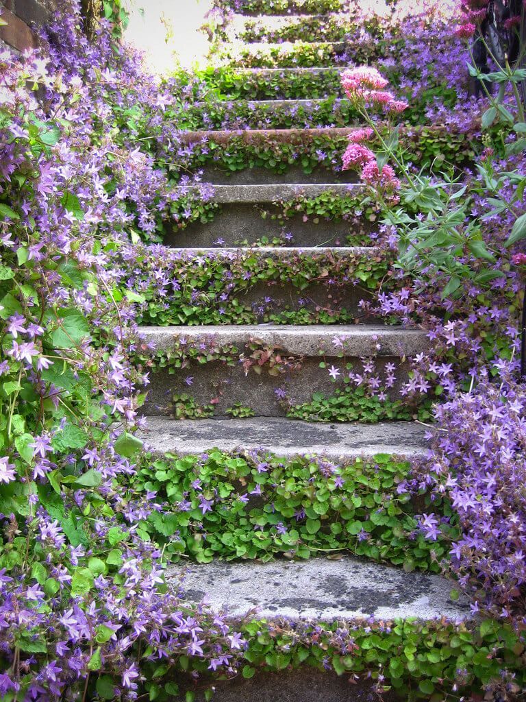 Creating a Charming Garden Path with
Stepping Stones