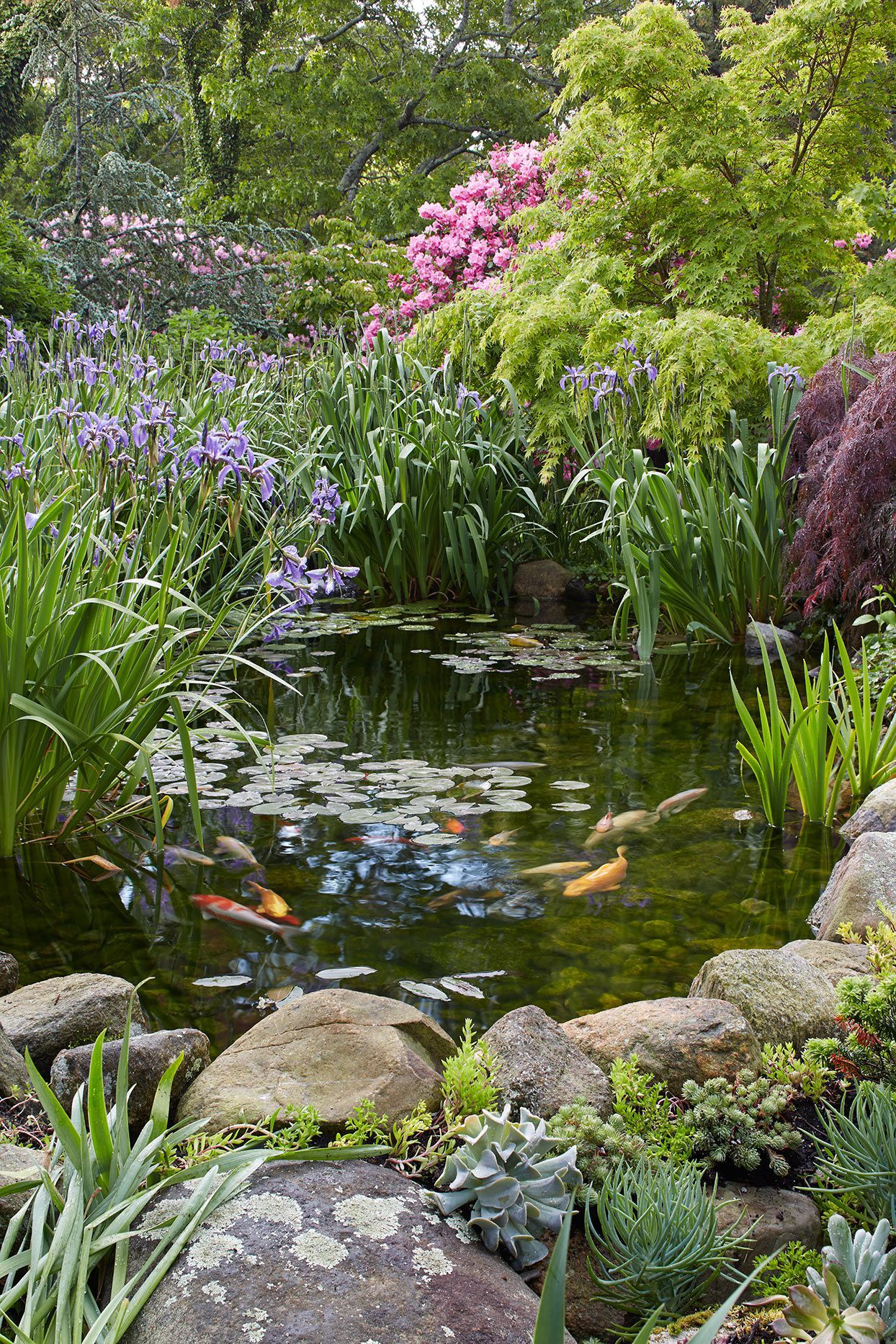 The Ultimate Guide to Choosing a Water
Fountain for Your Garden