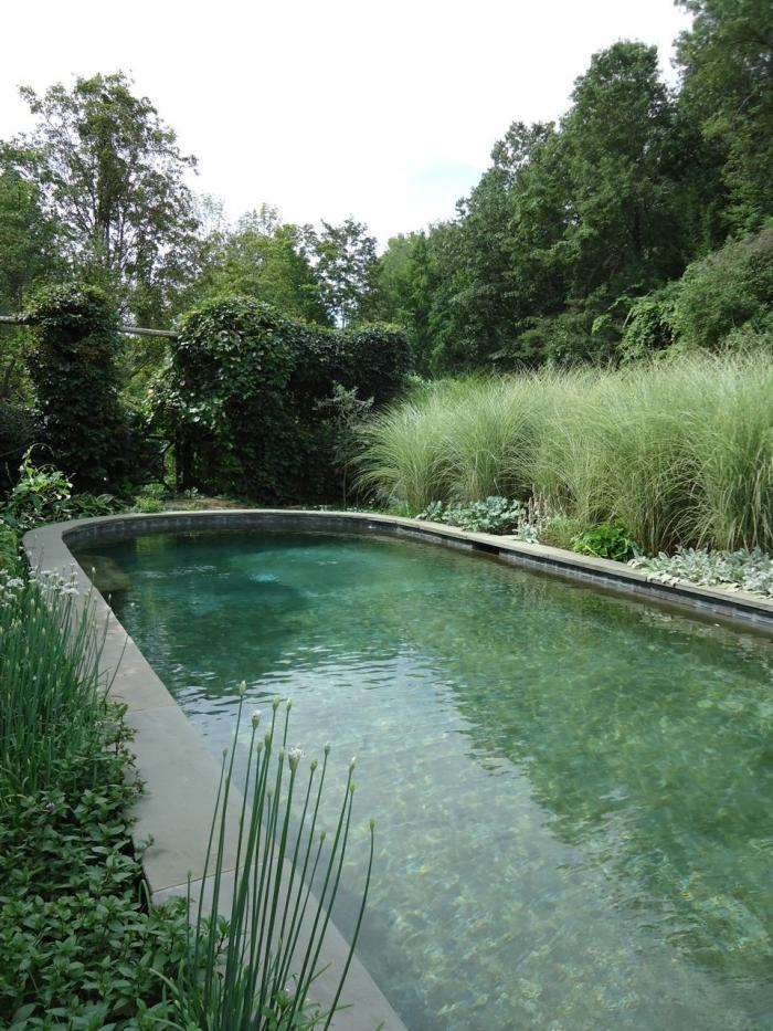 The Ultimate Guide to Creating Your Dream
Home Swimming Pool