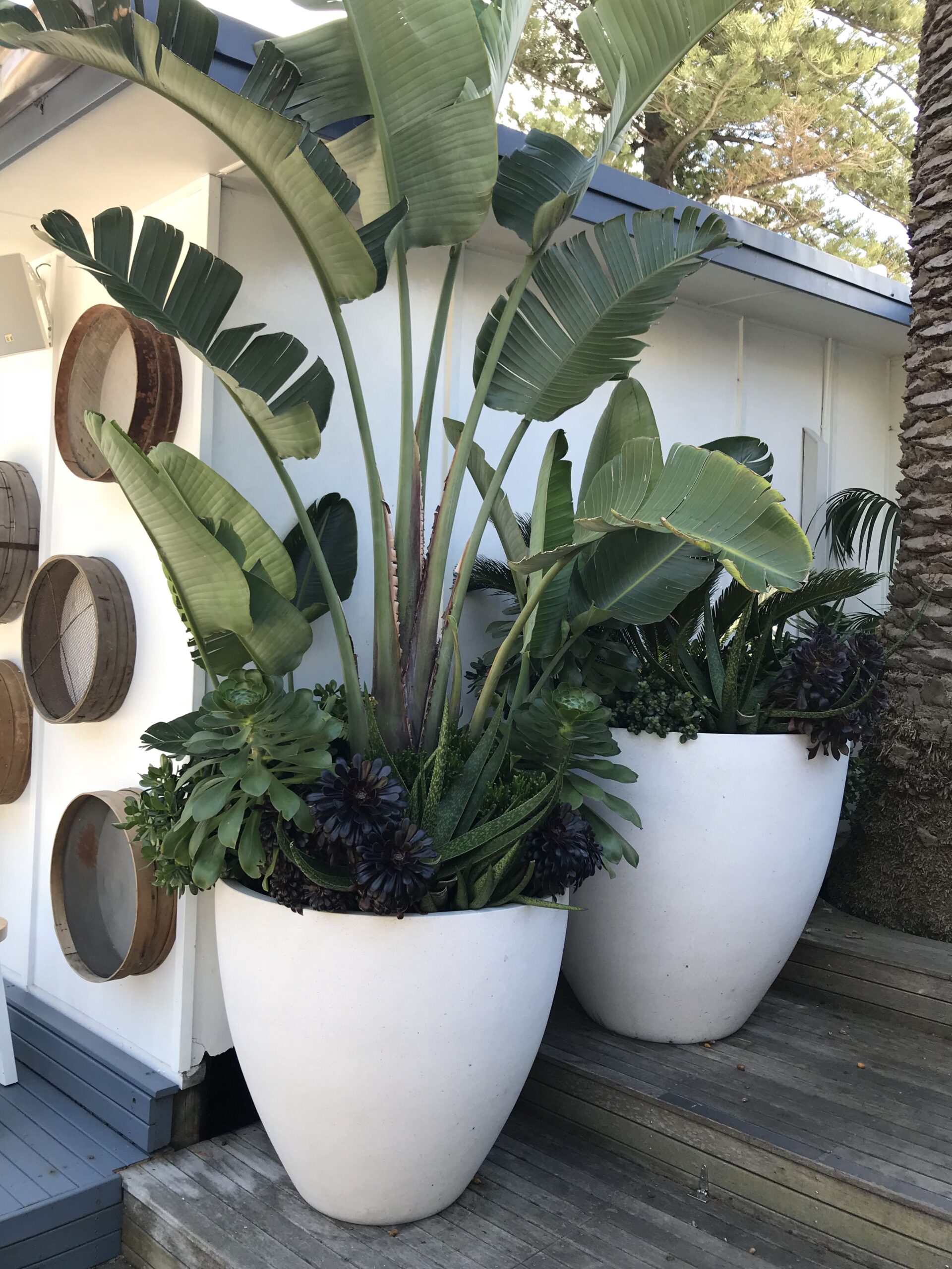 Transform Your Outdoor Space with Large
Garden Pots
