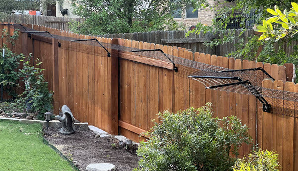 Cat Fences & Outdoor Cat Enclosures | Purrfect Fen