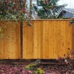 22 Awesome Privacy Fence Ideas & Styles for 20