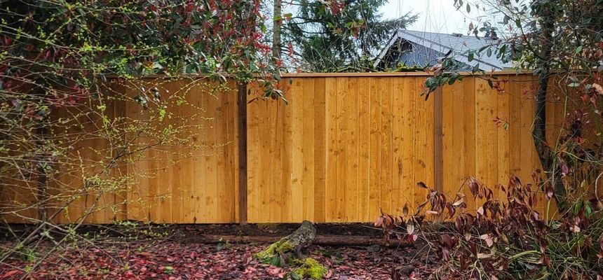 22 Awesome Privacy Fence Ideas & Styles for 20