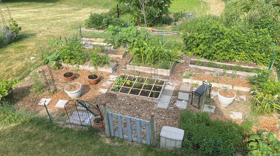 How to grow a backyard garden | Chanhassen news | swnewsmedia.c