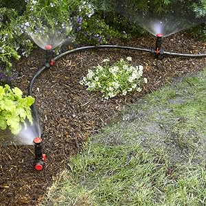 Amazon.com : Gardeners Supply Company Snip-n-Spray Garden .