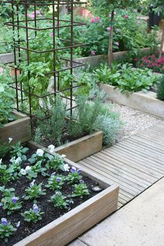 55 Permaculture backyard gardens! ideas | permaculture, backyard .