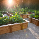 75 Farmhouse Landscaping Ideas You'll Love - April, 2024 | Hou