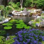 Water Garden Design, Planning, & Maintenance in Alaba