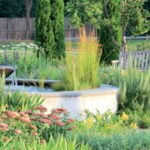 Pacific Horticulture | Therapeutic Garde