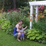 A Well Designed Shade Garden | American Meado