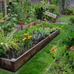 Are Backyard Gardens a Weapon Against Climate Change? - Modern Farm