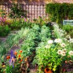 Starting an Organic Garden: 10 Keys for Beginners | Garden Desi